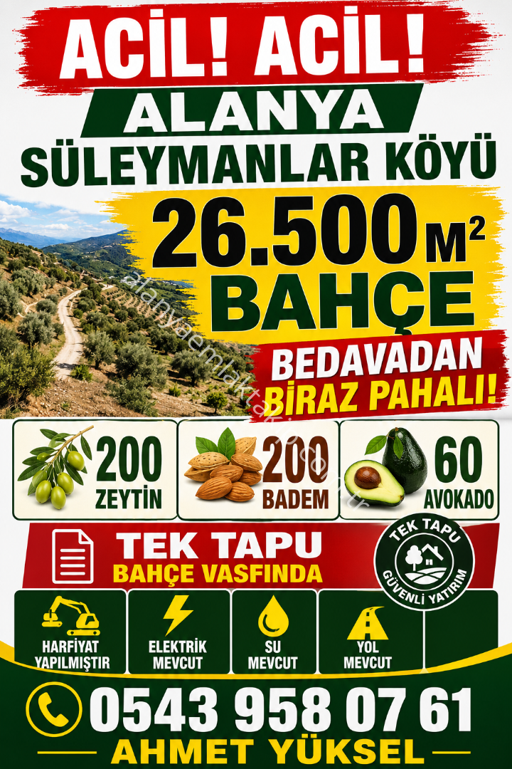 ALANYA SÜLEYMANLAR KÖYÜ’NDE 26.500 M² ACİL SATILIK BAHÇE – BEDAVADAN BİRAZ PAHALI!