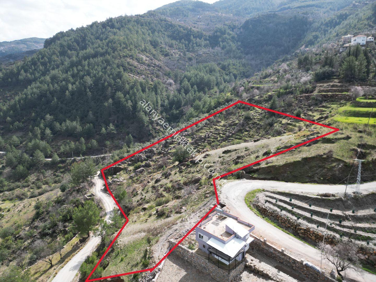 ALANYA TÜRKTAŞ MAHALLESİ’NDE SATILIK 7.600 M² YOLA SIFIR, ÇAY MANZARALI TARLA