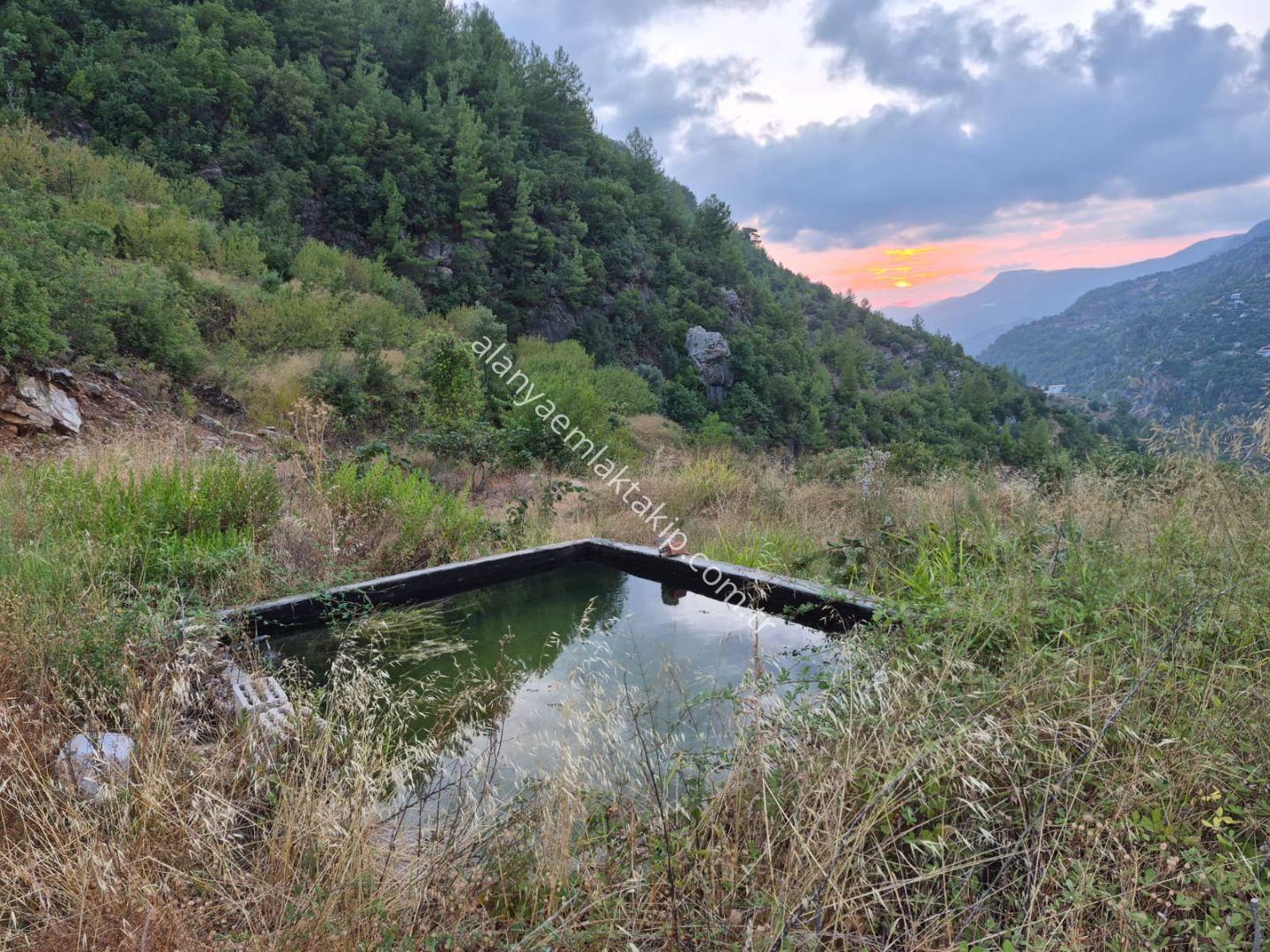 Süleymanlar Mahallesi’nde 26.500 m2 satılık zeytin ve badem bahçesi